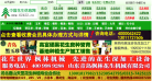 中国花生信息网
