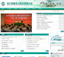 明星电力